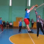Волейбол-10-300x193